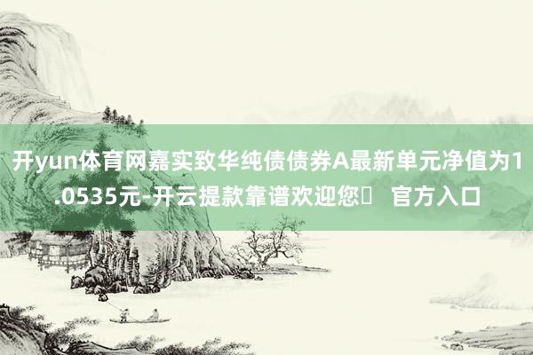 开yun体育网嘉实致华纯债债券A最新单元净值为1.0535元-开云提款靠谱欢迎您✅ 官方入口