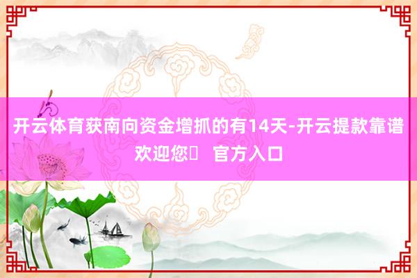 开云体育获南向资金增抓的有14天-开云提款靠谱欢迎您✅ 官方入口