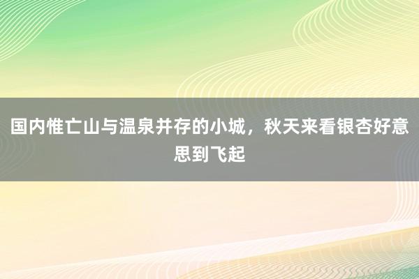 国内惟亡山与温泉并存的小城，秋天来看银杏好意思到飞起