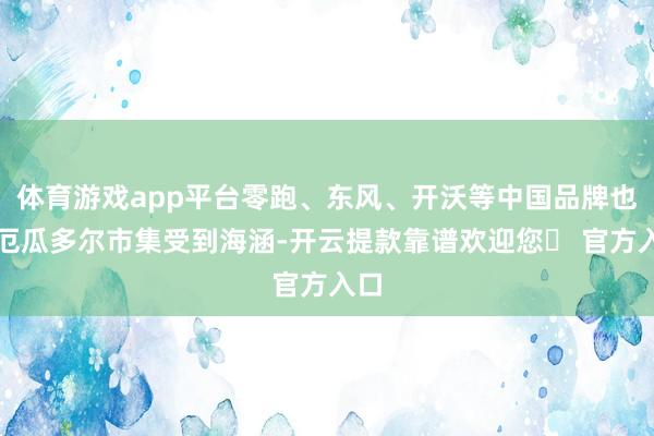 体育游戏app平台零跑、东风、开沃等中国品牌也在厄瓜多尔市集受到海涵-开云提款靠谱欢迎您✅ 官方入口